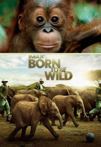 Born to Be Wild