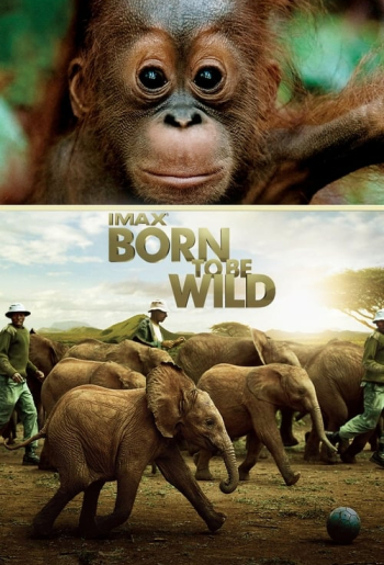 Born to Be Wild