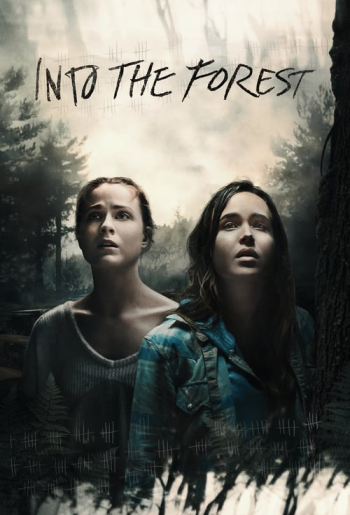 Into the Forest