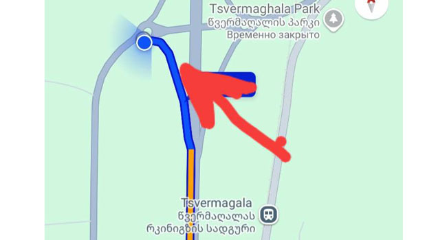 გურიაში წვერმაღალასთან თოვლში ჩარჩენილ მოქალაქეს დახმარება სჭირდება