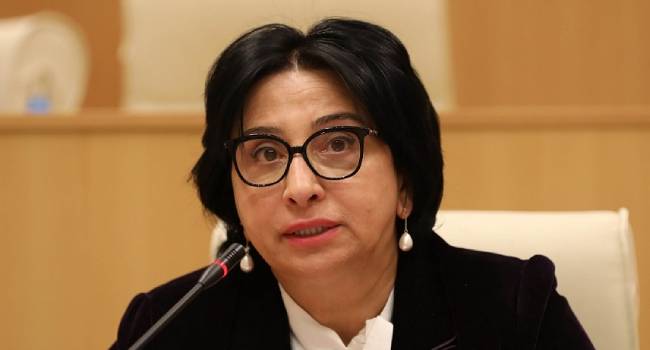 რიმა ბერაძე: ოპოზიციის მიზანი ერთადერთია  – ხელისუფლებაში დაბრუნება