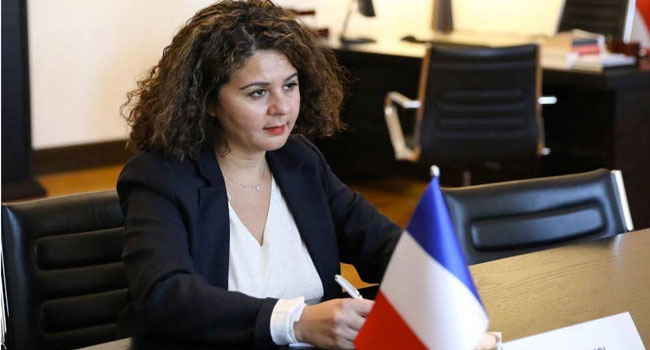 საფრანგეთის ელჩი: საქართველოს ბიუჯეტში პირდაპირ დახმარებას დროებით ვაჩერებთ