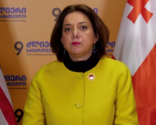სალომე სამადაშვილი: სახელმწიფოს არსებობისთვის უკიდურესად მნიშვნელოვანია ორი საკითხის გადაჭრა