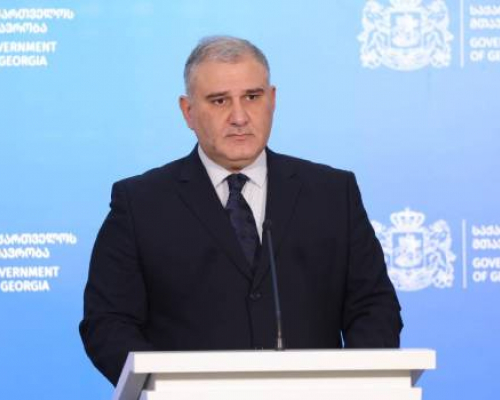 მიხეილ სარჯველაძე: არავითარი გამართლება არ გააჩნია ძალადობას